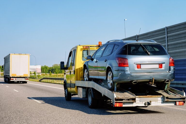 Ritiro auto a fine vita Perosa Argentina